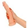 Fallo con ventosa european lover You2Toys