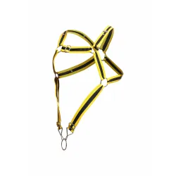 Imbracatura cinghia petto e anello Dngeon