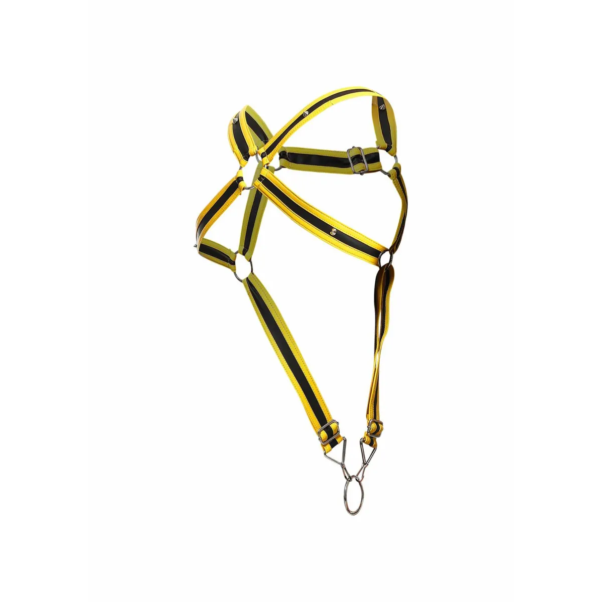 Imbracatura cinghia petto e anello Dngeon