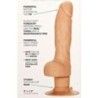 Vibratore realistico testicoli 12,75cm chiaro Vibratore realistico testicoli 12,75cm chiaro
