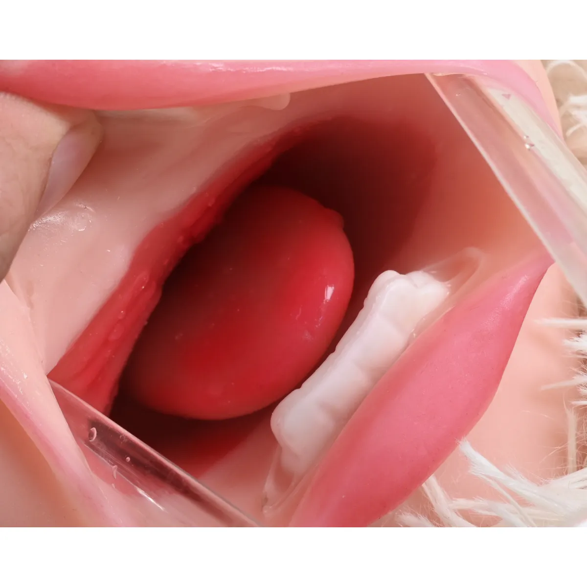 Masturbatore uomo realistico Bocca Vagina Ano