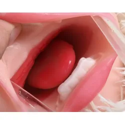 Masturbatore uomo realistico Bocca Vagina Ano