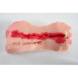 Masturbatore uomo realistico Bocca Vagina Ano