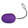 Ovetto vibrante purple vibro Ovetto vibrante purple vibro