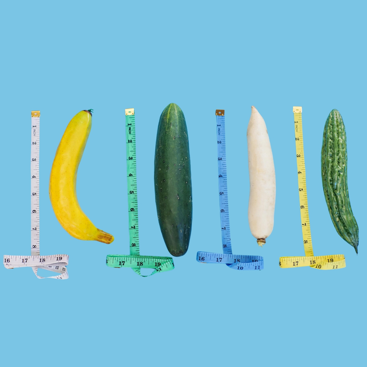 miusre_frutta_dildo_infografica